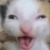 aisha__hehe