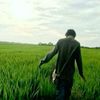1y_gh