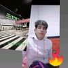 josse4629