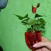maria.123maria6
