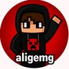 ali.gemg
