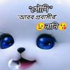 nisheislam271