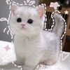 xiaozxan6