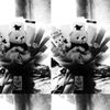 alwais_nurularipin