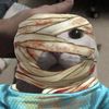 pudd1ngpup