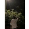 4LEEYYY🕷️