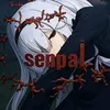 senpai🇻🇳