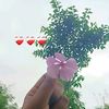 cute.girl0889