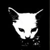 .of.king.of.cats