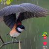 tun.naing0252
