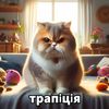 meowstar2025
