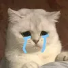 thienhuong_133