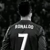 nntoo8