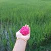 user6561074112993