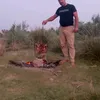 user3067317301371