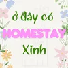 Ở đây có homestay xinh 🌷
