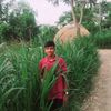hosain7306