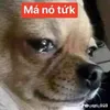quanque387