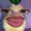 user4381748146196