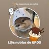 l6s.nutrias.de.upds