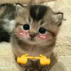 mikey.anh1