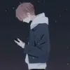 vnphc680