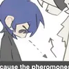 saotucko
