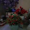 sumpeni_03