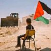 mustafa_8750