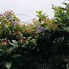 putri.bungsu0734