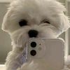 ohthats_princesslove111