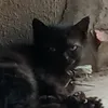 ahihidungnhinidnhuthechu