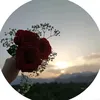 user4908557203610
