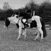 amelia.spamcenteral