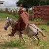 bielzinho_750