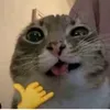 yessirski13_