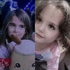 cataleya_n12