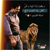 user81352520114296