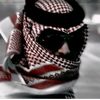 user3658149818838
