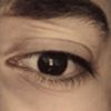 fexri_49