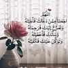 user5631135617845