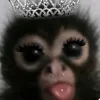 kalogeras.edits612