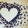 ayseldi_0987