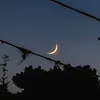 ragim_aliahmedov