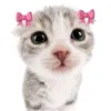 eywjwjw