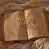 mybookishsecrett