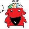 hankie._0