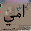 zn__33a