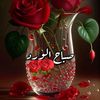 anisa.osman87