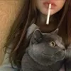 ar__ux8